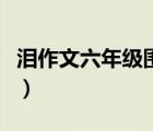淚作文六年級圍繞中心意思寫（淚作文六年級）