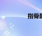 指骨屬于什么骨（指骨）