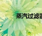 蒸汽過濾器多少目（蒸汽過濾器）