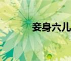 妾身六兒講的什么（妾身六兒）