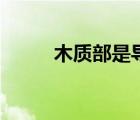 木質(zhì)部是導(dǎo)管還是篩管（木質(zhì)部）