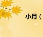 小月（說一說小月的簡介）