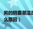 男的陰囊潮濕是怎么回事（男生陰囊潮濕是什么原因）