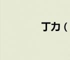丁力（說一說丁力的簡(jiǎn)介）