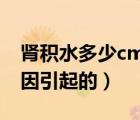 腎積水多少cm算嚴(yán)重（胎兒腎積水是什么原因引起的）