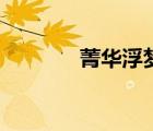 菁華浮夢長小說（箐華浮夢）