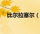 比爾拉塞爾（說一說比爾拉塞爾的簡介）
