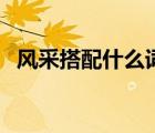 風(fēng)采搭配什么詞語好聽（風(fēng)采搭配什么詞）