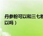丹參粉可以和三七粉一起服用嗎（丹參粉和三七粉一起吃可以嗎）