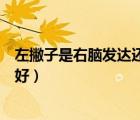 左撇子是右腦發(fā)達(dá)還是左腦發(fā)達(dá)（左腦發(fā)達(dá)好還是右腦發(fā)達(dá)好）