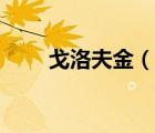 戈洛夫金（說一說戈洛夫金的簡介）