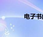 電子書閱讀器什么牌子的好