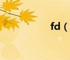 fd（說一說fd的簡介）