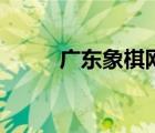 廣東象棋網(wǎng)網(wǎng)址（廣東象棋網(wǎng)站）