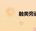 觸類旁通的翻譯（觸類旁通）