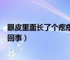 眼皮里面長了個疙瘩怎么回事兒（眼皮里面長了個疙瘩怎么回事）