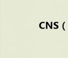 CNS（說一說CNS的簡(jiǎn)介）