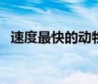 速度最快的動(dòng)物前十名（速度最快的動(dòng)物）