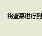 將盜墓進行到底全集（將盜墓進行到底）