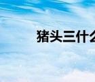豬頭三什么意思啊（豬頭三鄭州）
