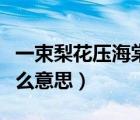 一束梨花壓海棠的意思（一樹(shù)梨花壓海棠是什么意思）
