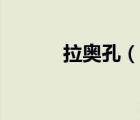 拉奧孔（說一說拉奧孔的簡介）