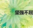 堅強不屈的近義詞（堅強不屈）