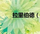拉里伯德（說(shuō)一說(shuō)拉里伯德的簡(jiǎn)介）