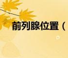 前列腺位置（說一說前列腺位置的簡介）
