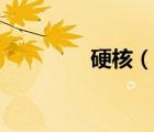 硬核（說一說硬核的簡介）