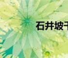 石井坡千與千尋（石坂千尋）