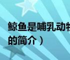鯨魚是哺乳動(dòng)物嗎（說一說鯨魚是哺乳動(dòng)物嗎的簡(jiǎn)介）