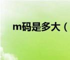 m碼是多大（說一說m碼是多大的簡介）