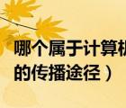 哪個屬于計算機病毒的傳播途徑（計算機病毒的傳播途徑）