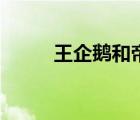 王企鵝和帝企鵝的區(qū)別（王企鵝）