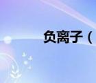 負(fù)離子（說(shuō)一說(shuō)負(fù)離子的簡(jiǎn)介）