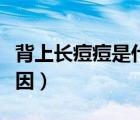 背上長痘痘是什么原因（背部長痘痘是什么原因）