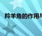 羚羊角的作用與功效（羚羊角顆粒的功效）