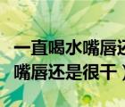 一直喝水嘴唇還是很干是什么原因（一直喝水嘴唇還是很干）