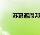 蘇幕遮周邦彥翻譯（蘇幕遮周邦彥）