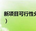 新項目可行性分析報告（項目投資可行性報告）