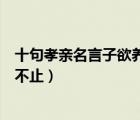 十句孝親名言子欲養(yǎng)而親不待（子欲養(yǎng)而親不待樹欲靜而風不止）