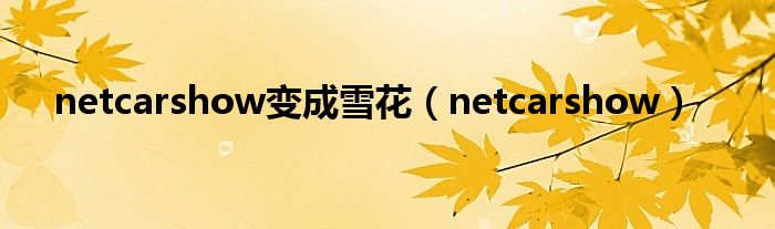 netcarshow變成雪花（netcarshow）