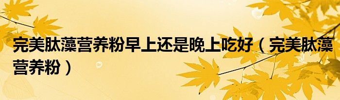 完美肽藻營(yíng)養(yǎng)粉早上還是晚上吃好（完美肽藻營(yíng)養(yǎng)粉）