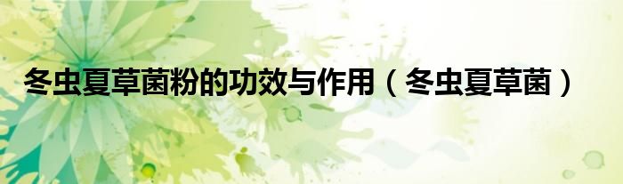 冬蟲夏草菌粉的功效與作用（冬蟲夏草菌）