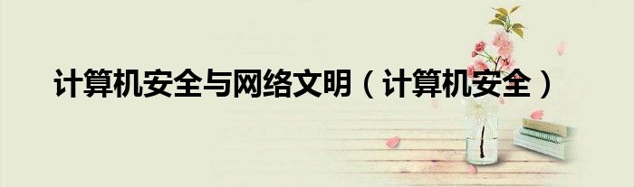 計(jì)算機(jī)安全與網(wǎng)絡(luò)文明（計(jì)算機(jī)安全）