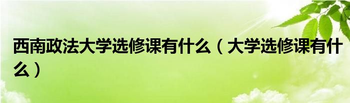 西南政法大學(xué)選修課有什么（大學(xué)選修課有什么）