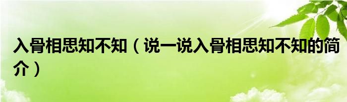 入骨相思知不知（說一說入骨相思知不知的簡介）