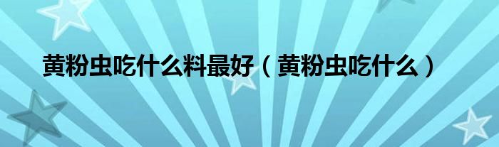 黃粉蟲吃什么料最好（黃粉蟲吃什么）