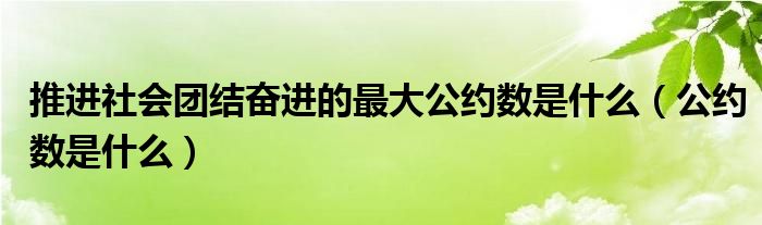 推進社會團結(jié)奮進的最大公約數(shù)是什么（公約數(shù)是什么）